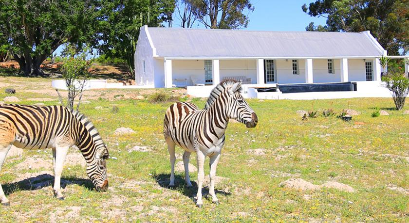 Arnion - Nature Retreat Clanwilliam Exterior foto